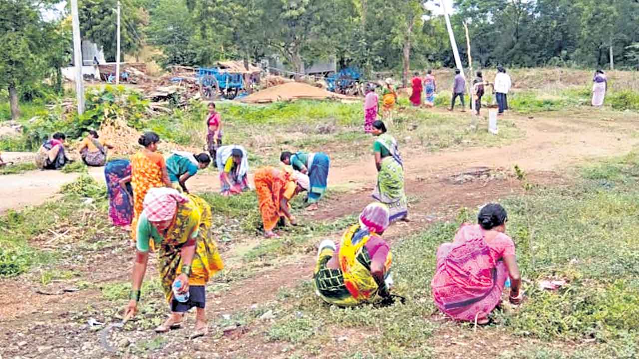 జోరుగా కొనసాగుతున్న పారిశుధ్య పనులు
