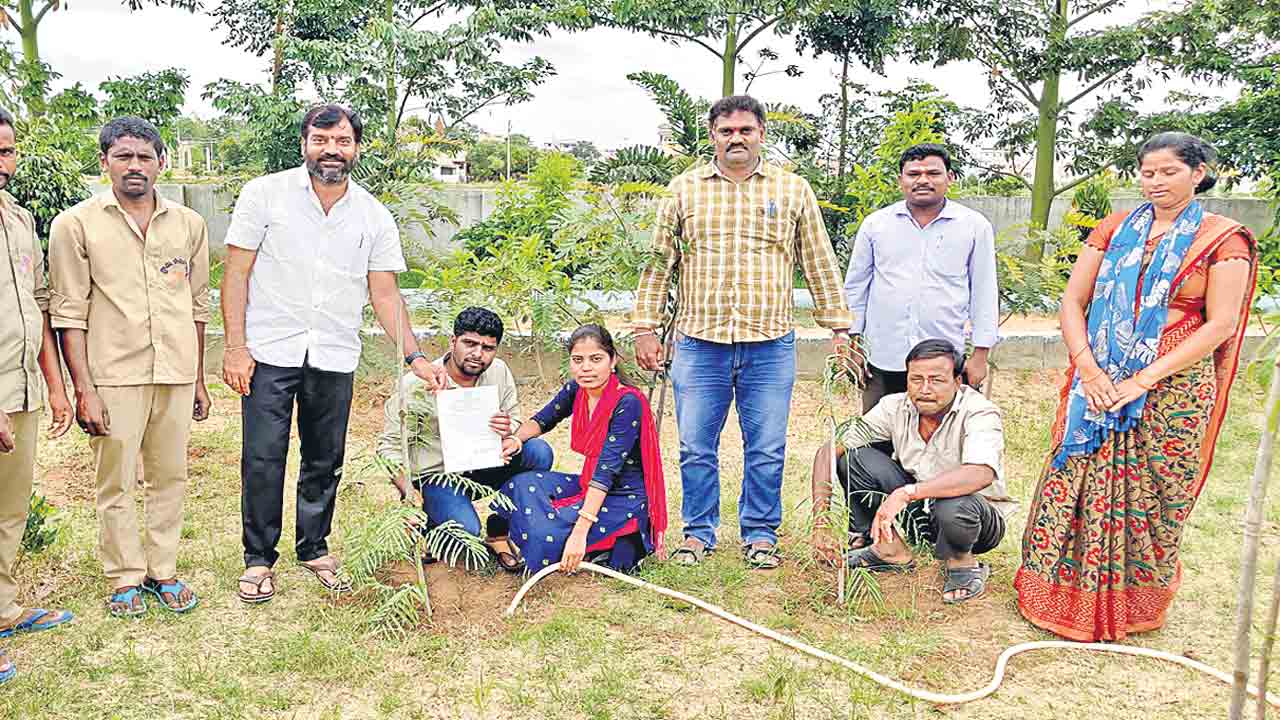 మొక్కలు నాటితేనే మ్యారేజ్‌ సర్టిఫికెట్‌