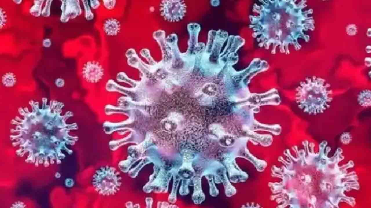 కొత్తగా 13,216 కరోనా కేసులు