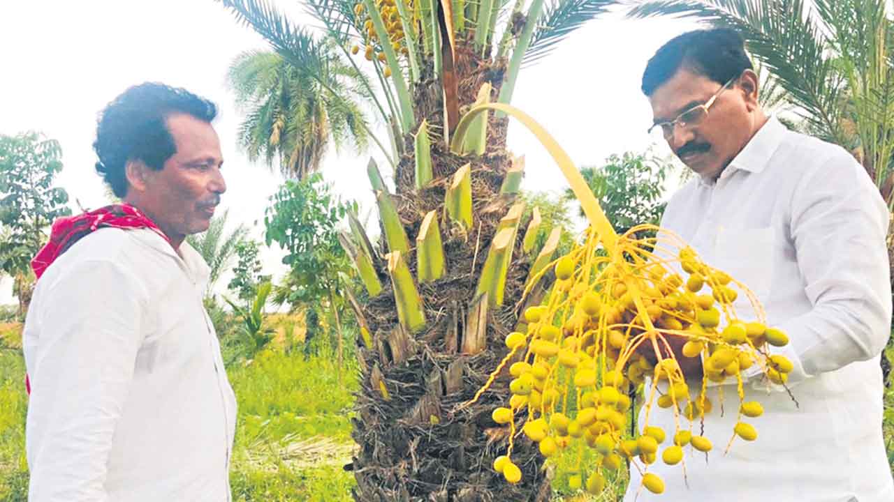 విప్లవానికి నాంది దళితబంధు