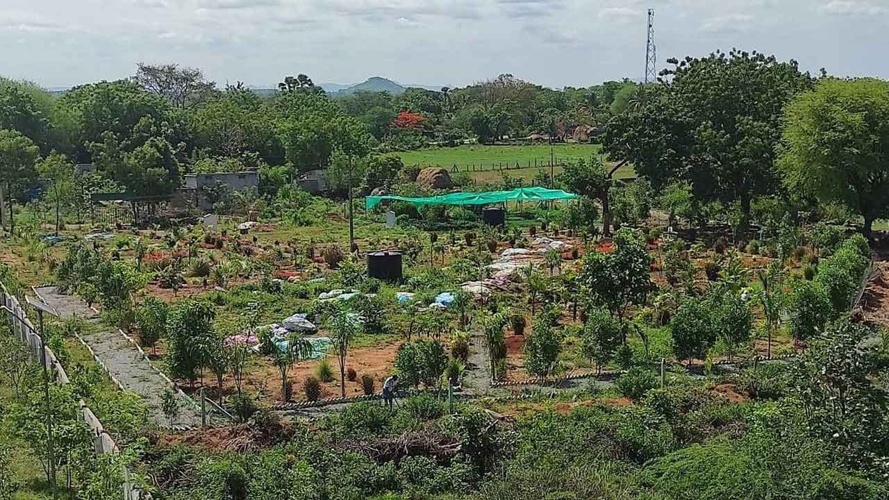 పెద్దకొర్పోలులో ప్రగతి పరుగులు