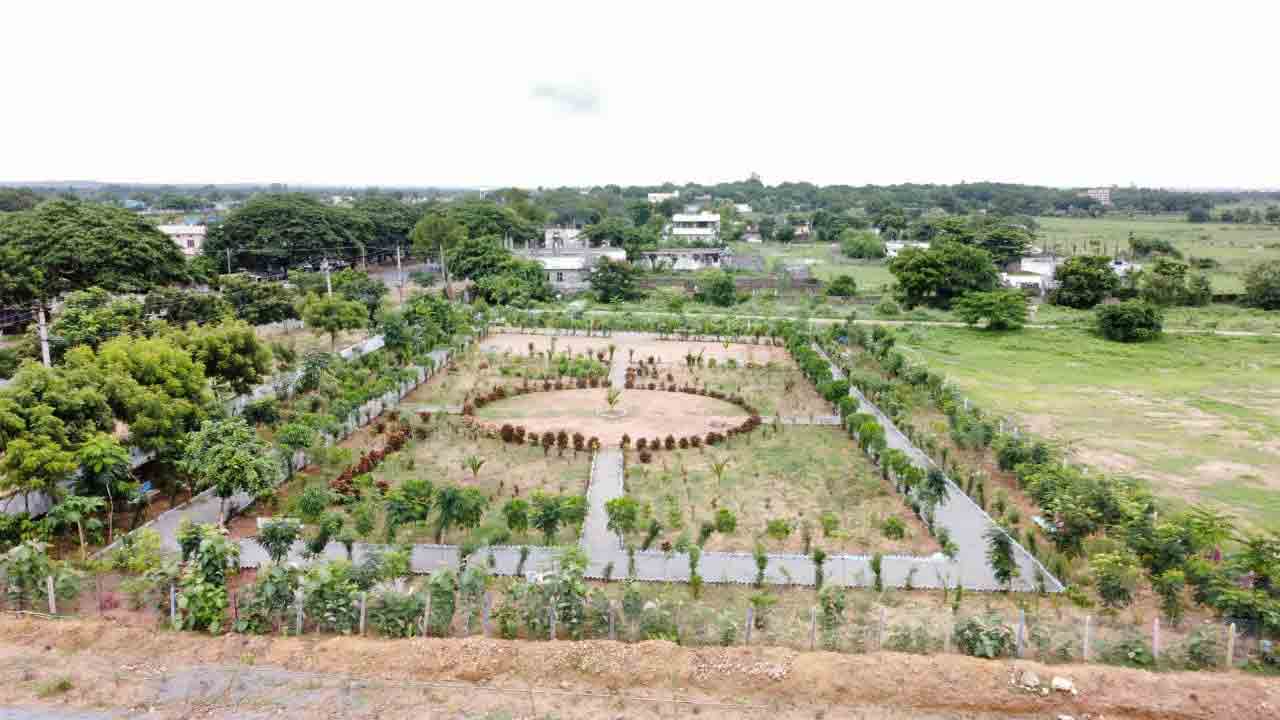 ఆహ్లాదాన్ని పంచుతున్న ప్రకృతి వనాలు..