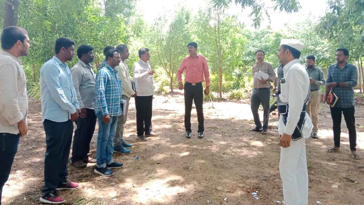 మొక్కలను సంరక్షించాలి