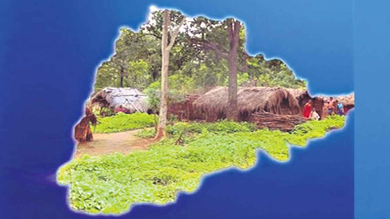 మన ట్రైబల్‌ వర్సిటీకి మోక్షమెప్పుడు?