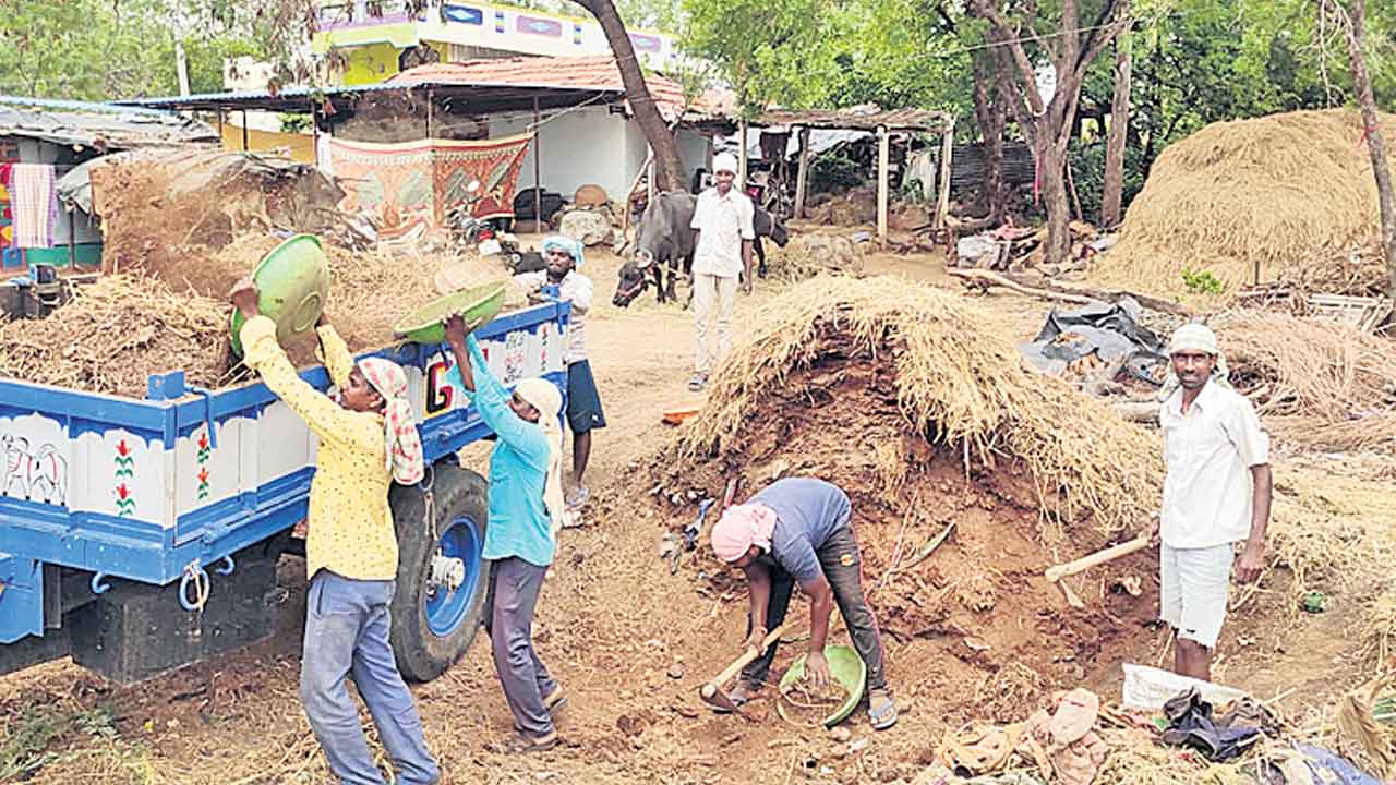 సేంద్రియం వైపు.. రైతన్న చూపు