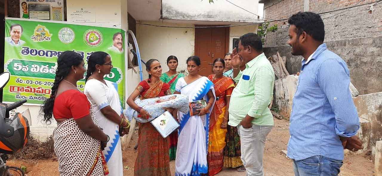 ముమ్మరంగా పల్లె ప్రగతి పనులు