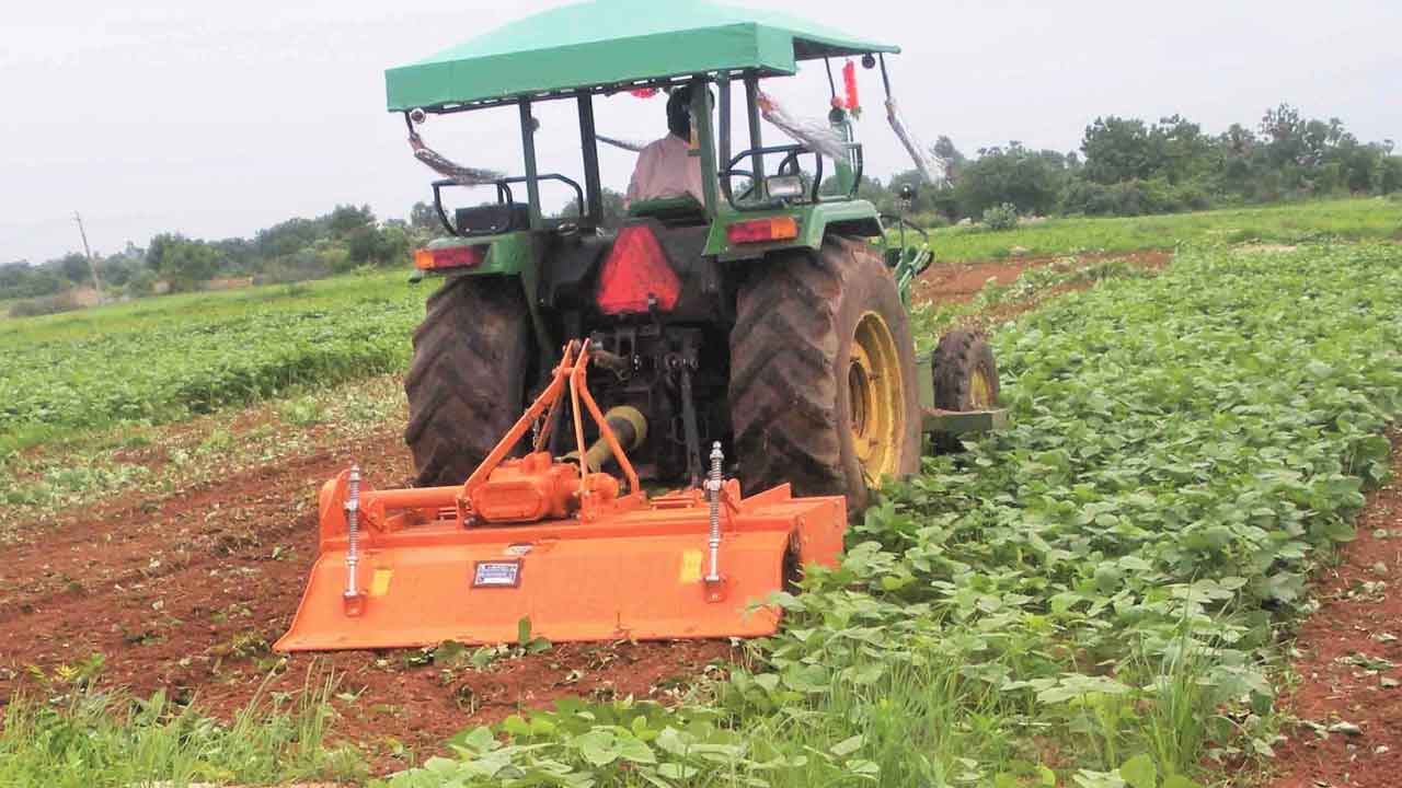 ఏ పంట తర్వాత ఏ పంట వేయాలంటే!