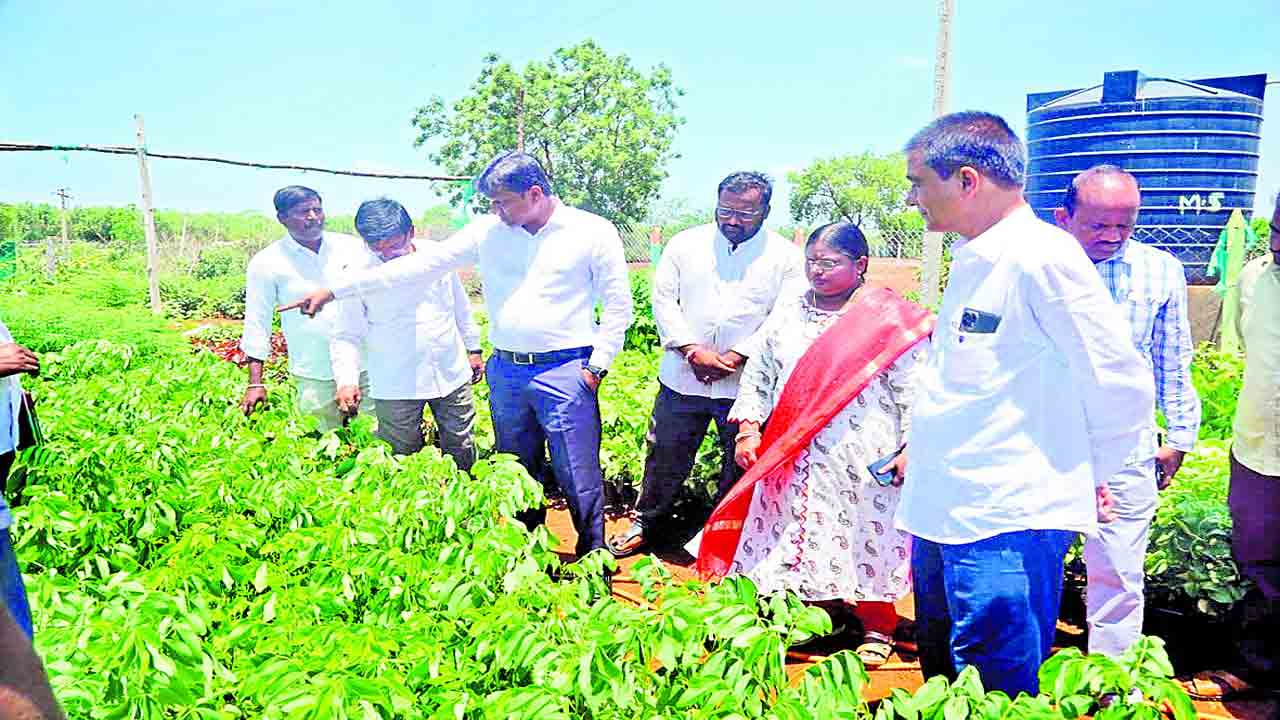 పల్లెలను అందంగా తీర్చిదిద్దాలి