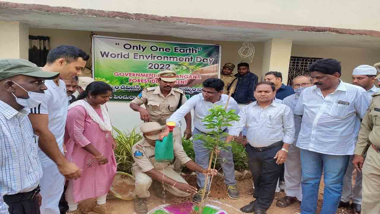 మొక్కల పెంపకంతో పర్యావరణ పరిరక్షణ
