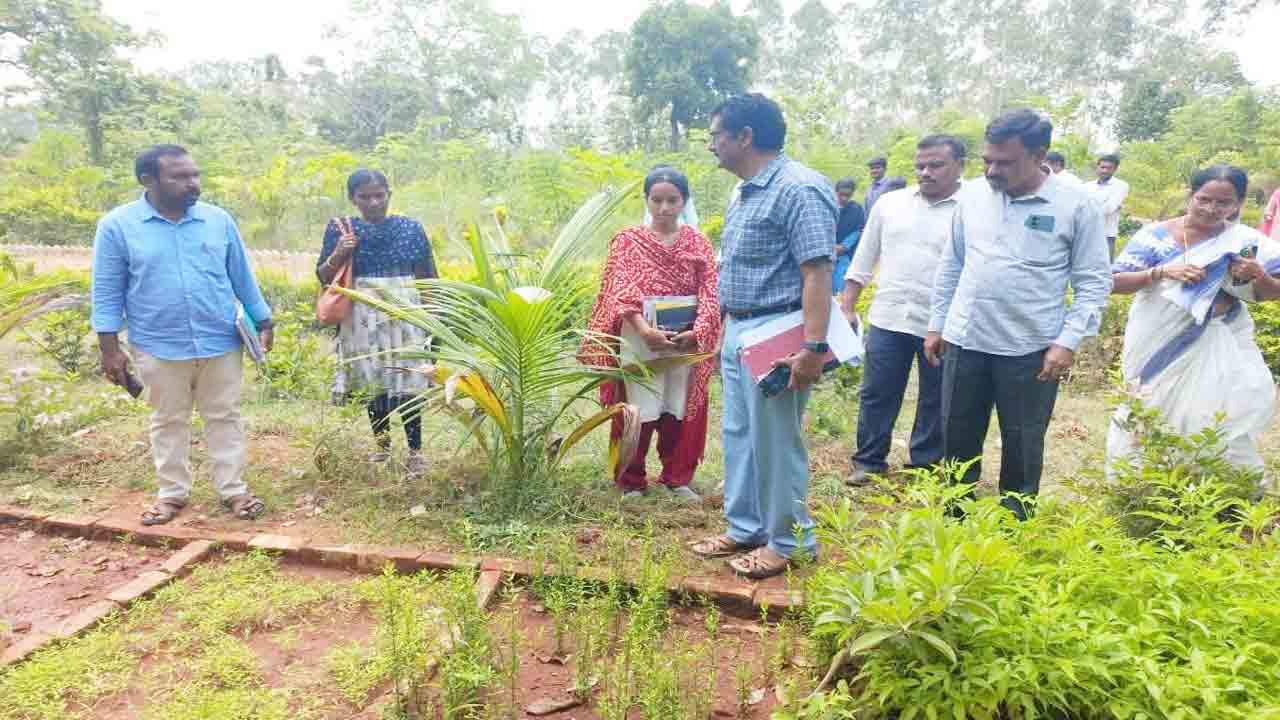‘పల్లె ప్రగతి’ని పండుగలా నిర్వహించాలి