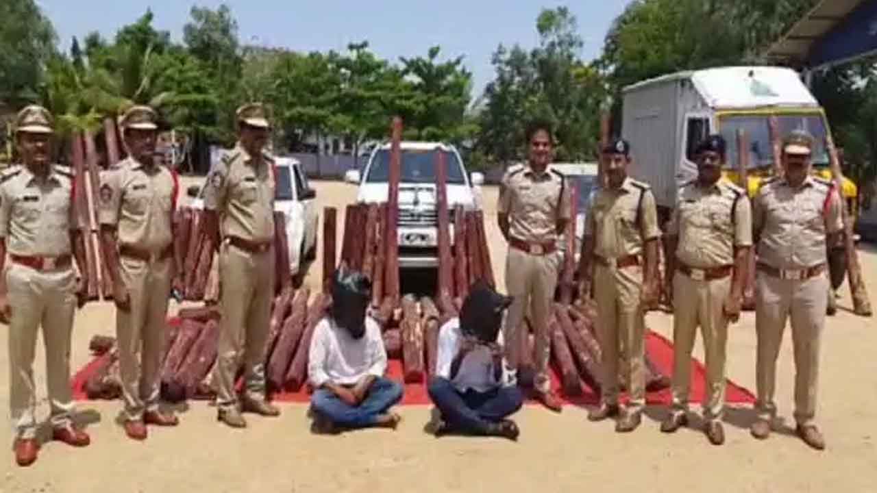 ఎర్ర చందనం స్మగ్లర్‌ అరెస్టు ..రూ. 3 కోట్ల విలువైన దుంగలు పట్టివేత