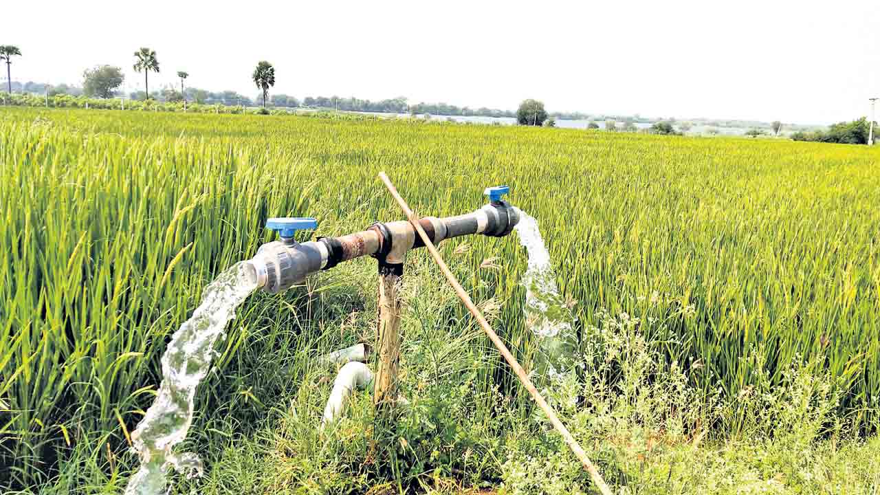 వెదజల్లడమే మేలు