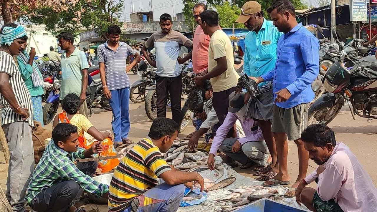 ఫిష్ రష్..