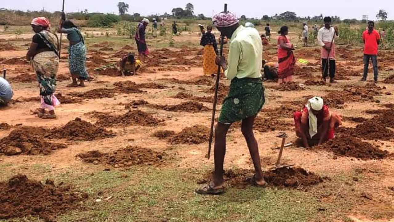 హరితహారంలో భాగస్వాములు కావాలి