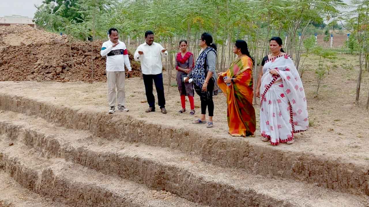 హరితహారానికి మొక్కలు సిద్ధం చేయాలి