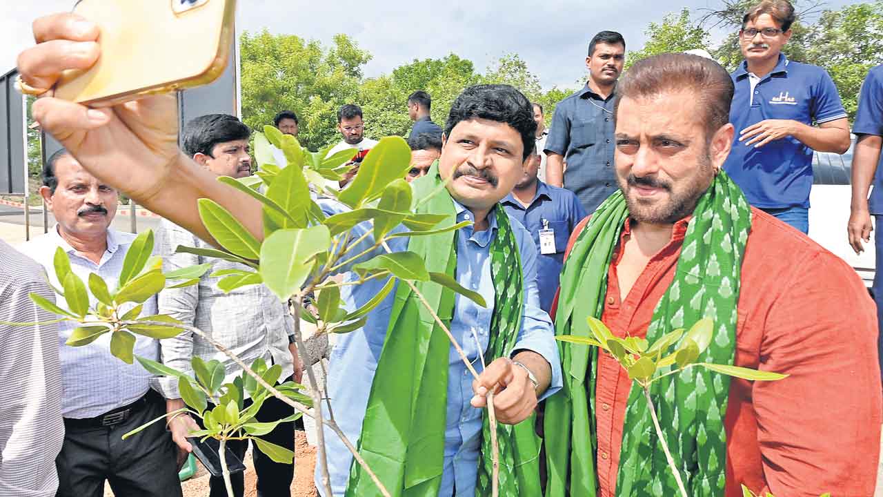 అనర్థాలు ఆగాలంటే మొక్కలు నాటాలి