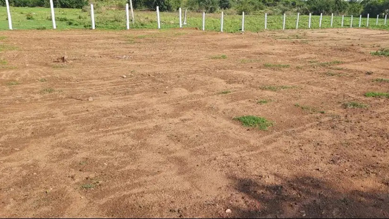 Vasthu Shastra | స్థలం కొనగానే ఇల్లు కట్టుకోవచ్చా? కొన్నాళ్లు ఆగితే మంచిదా?