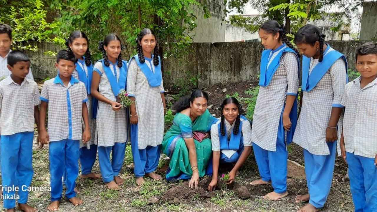 మొక్కలు నాటడం అందరి బాధ్యత