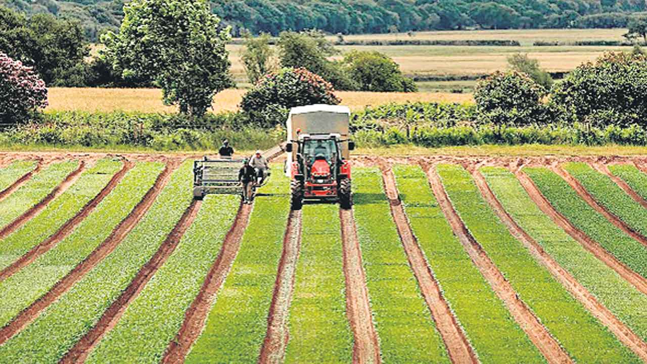 సాగును యువతకు వదిలేస్తే రూ.కోటి