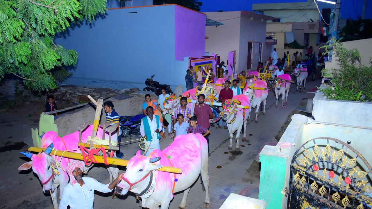 పొలాలనన్నీ హలాల దున్ని..! పల్లెల్లో ఏరువాక సంబురం