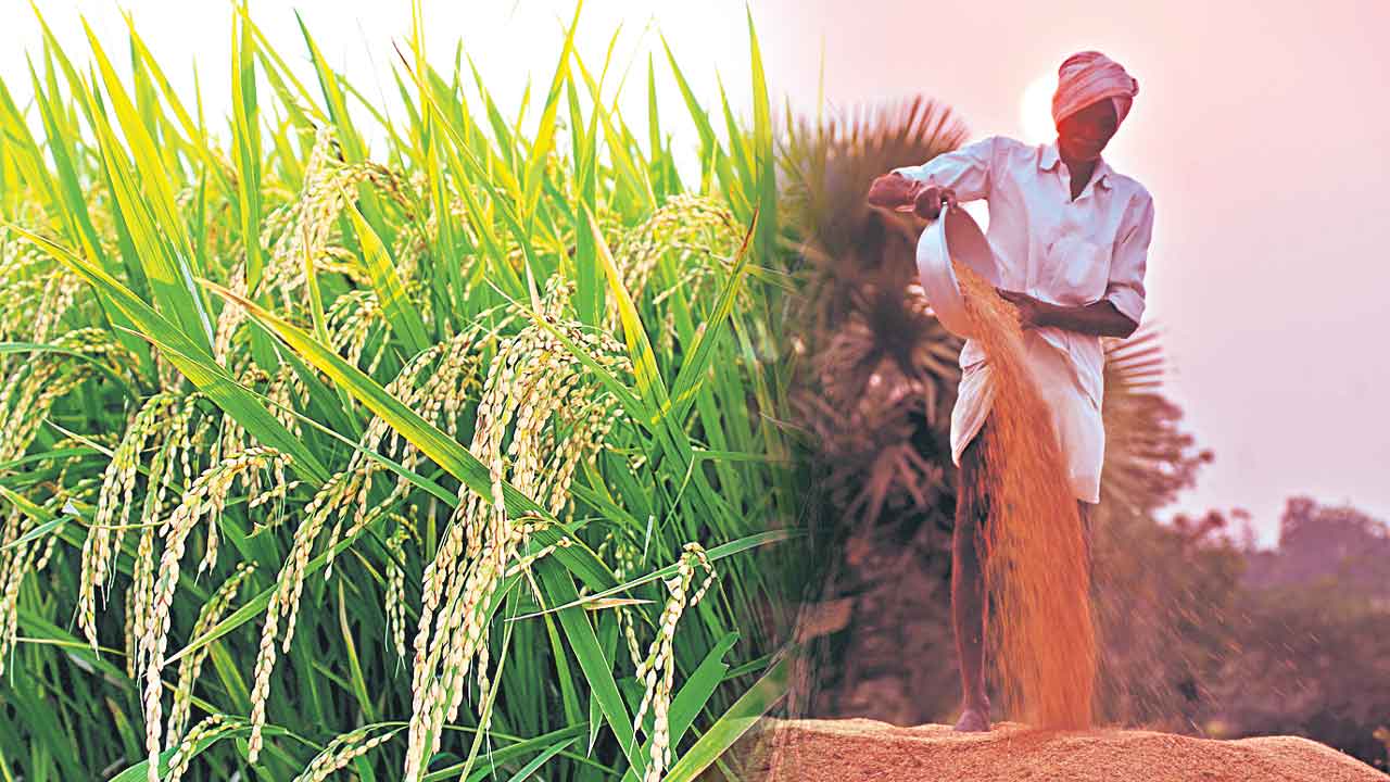 వరి.. కొర్రీ.. ధాన్యం కొనుగోళ్లపై కేంద్రం పరిమితులు