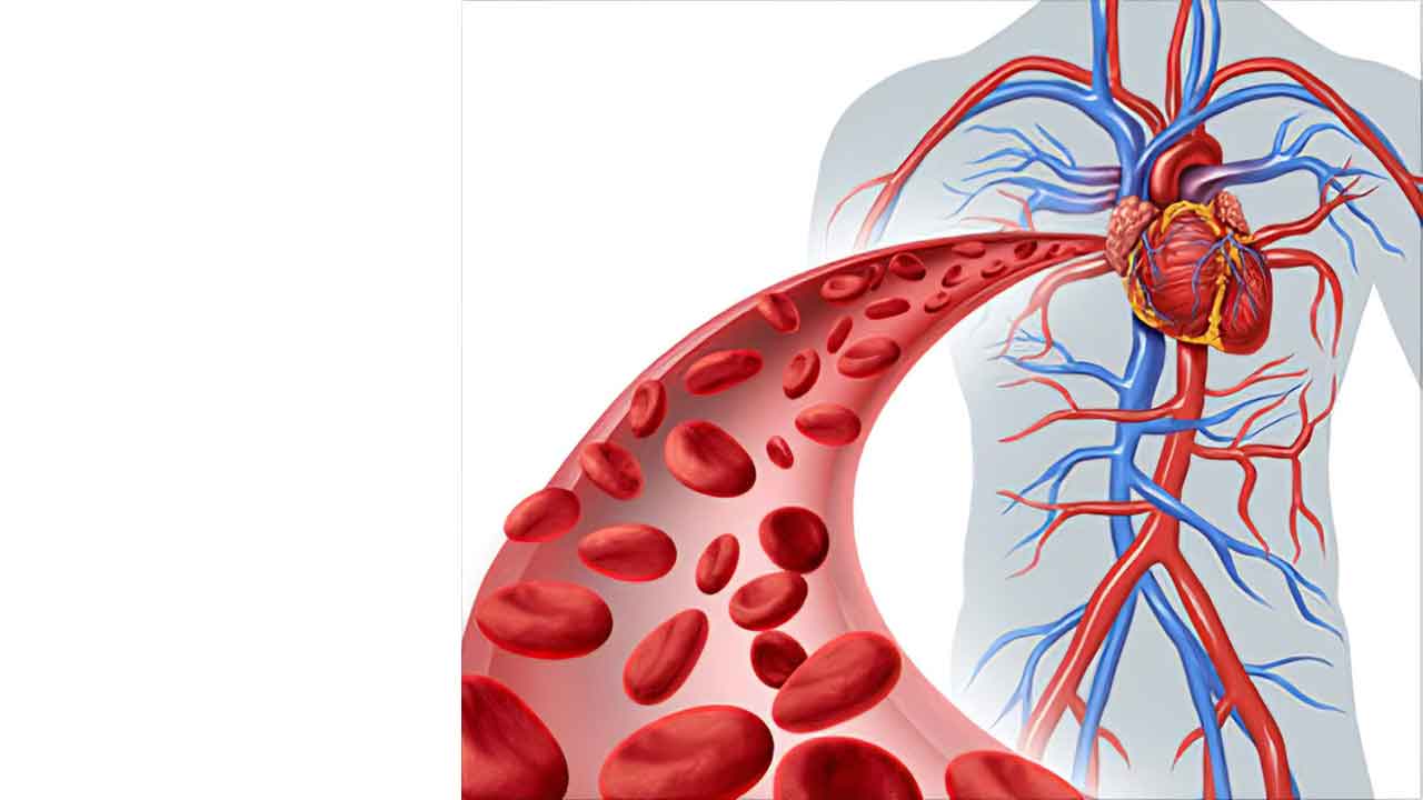 రక్తహీనతకు చెక్‌ !