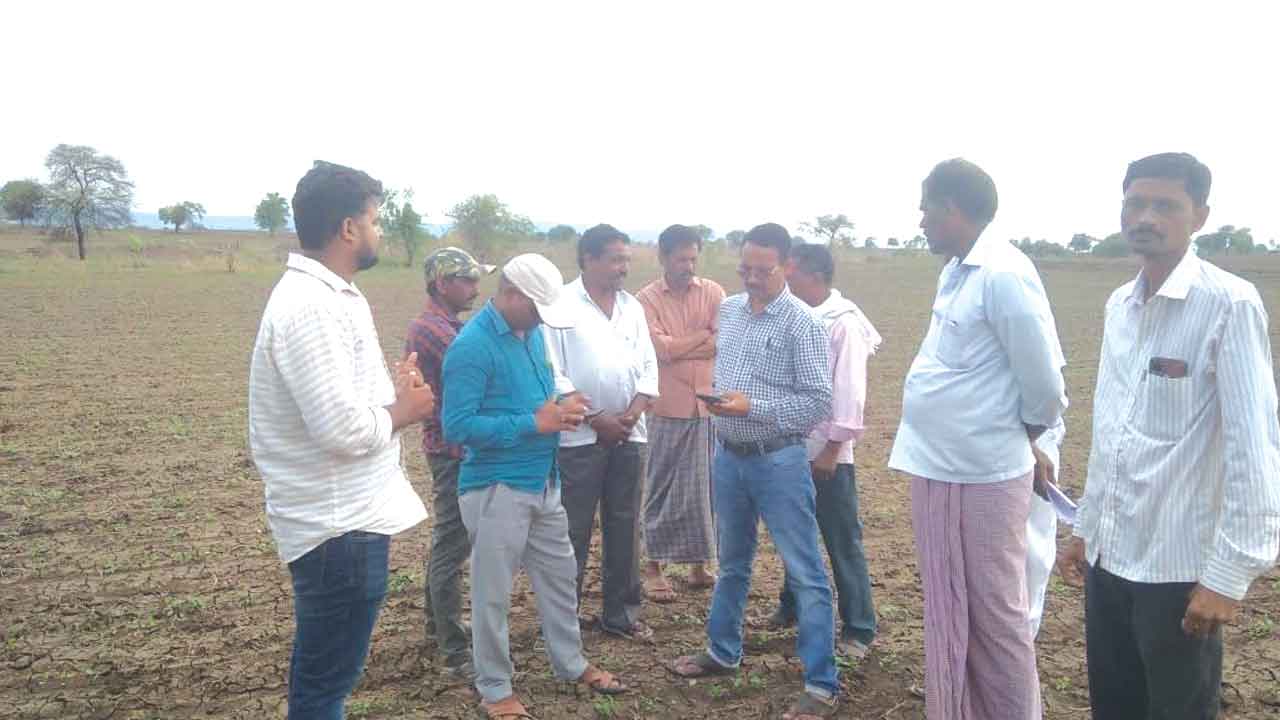 మొలకెత్తని సోయా..