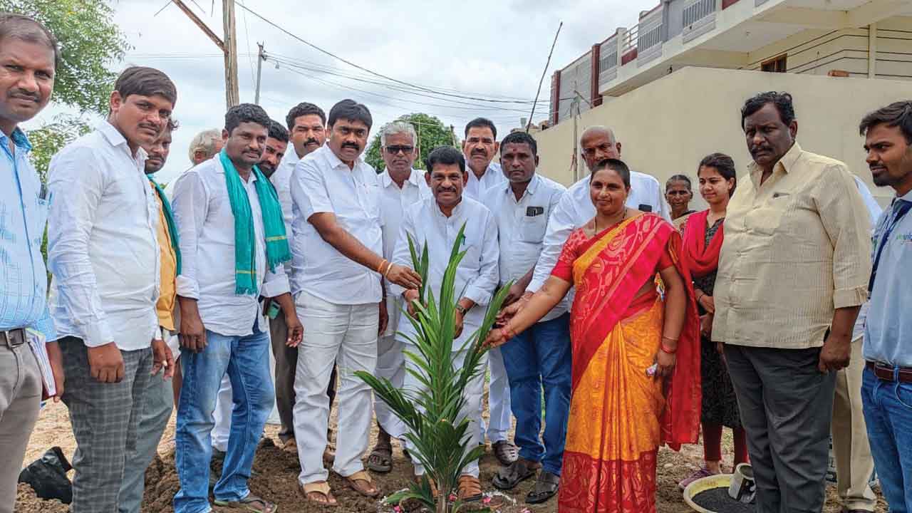 ఆయిల్‌పామ్‌ సాగుతో అధిక లాభాలు