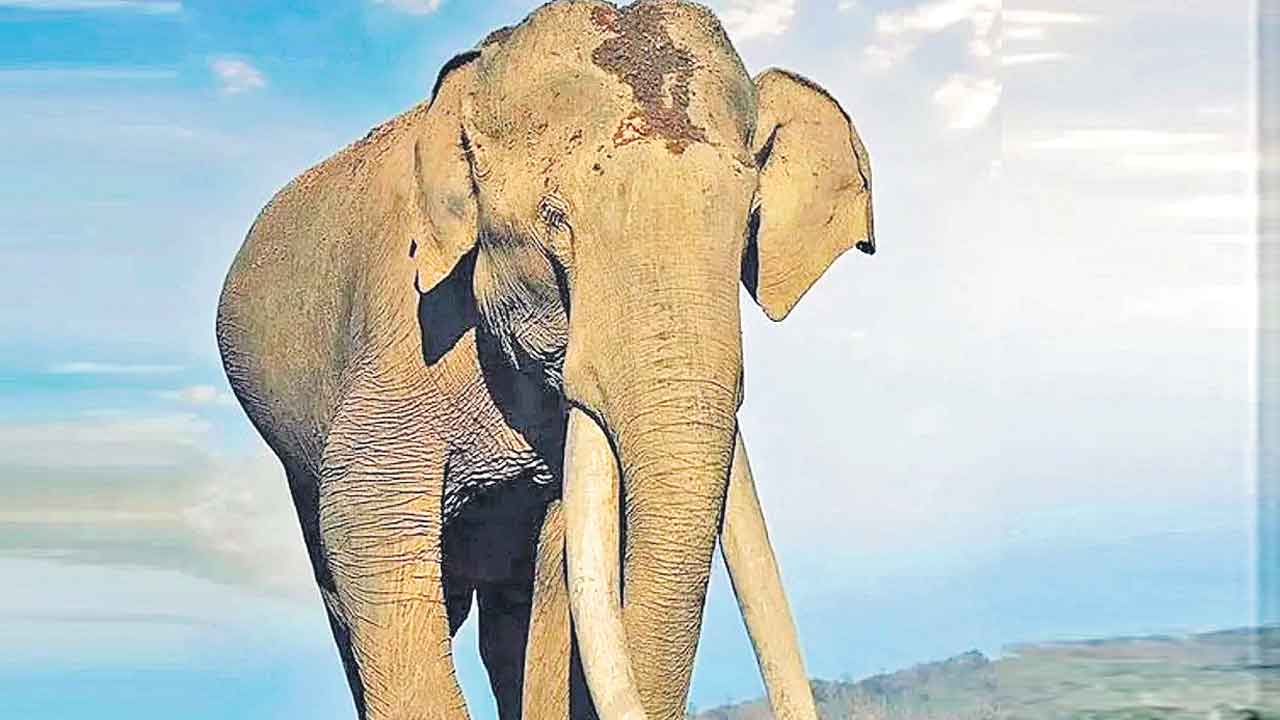 ‘భోగేశ్వర’ ఇకలేదు