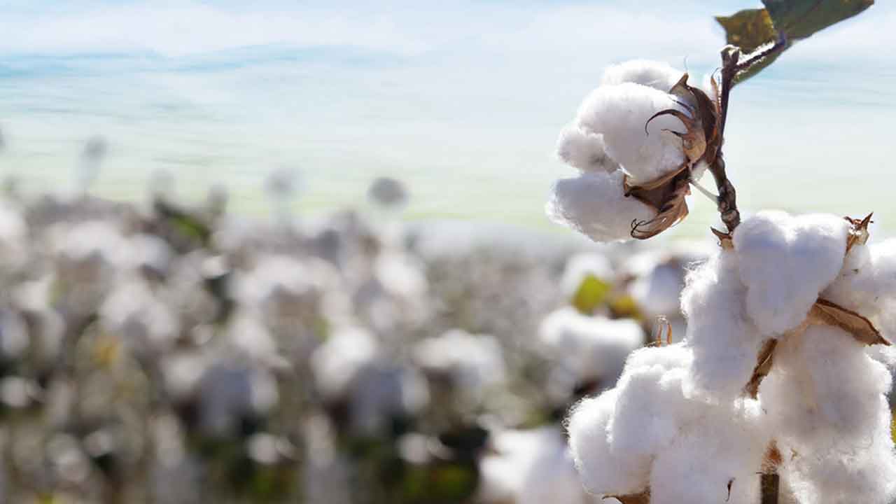 నూతన ఒరవడి