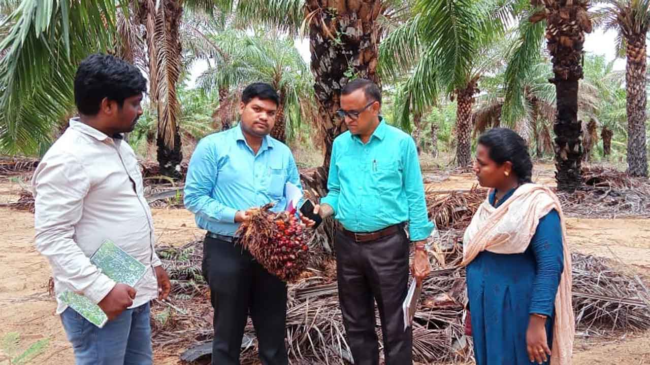 ఉద్యానవన పంటల సాగు పెంచాలి