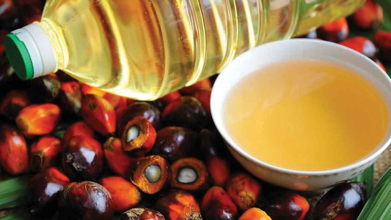 ‘ఆయిల్‌ పామ్‌’తో.. ఆమ్దానీ