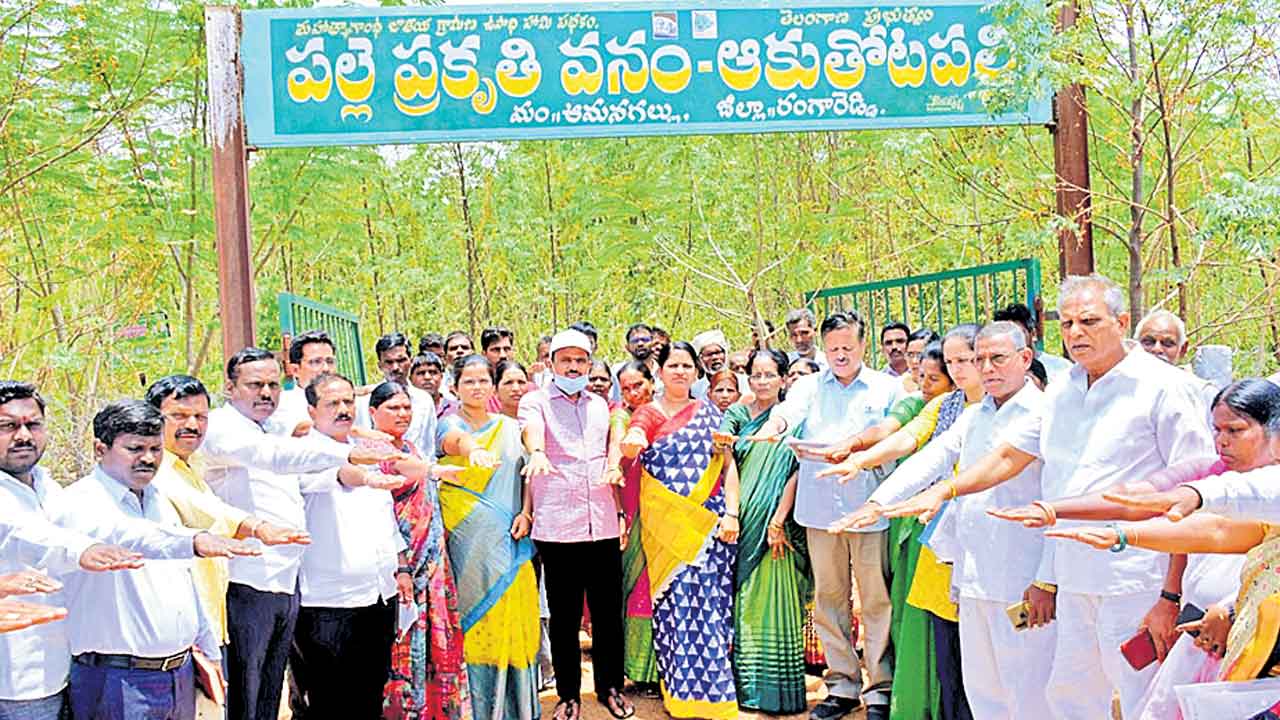 పల్లెప్రకృతి వనం చాలా బాగుంది
