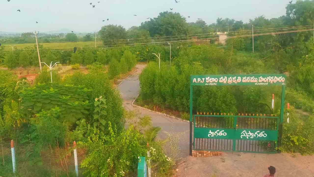 పల్లె ‘ప్రగతి’ వికాసం