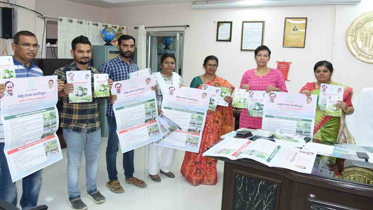 పత్తి సాగు విస్తీర్ణం పెంచాలి