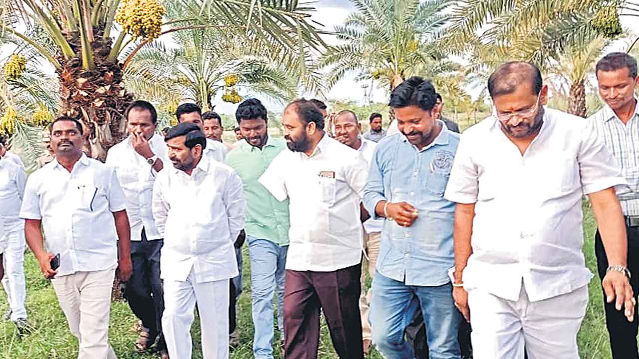 ఎకరాకు లక్ష ఆర్జనే కేసీఆర్‌ ఆకాంక్ష