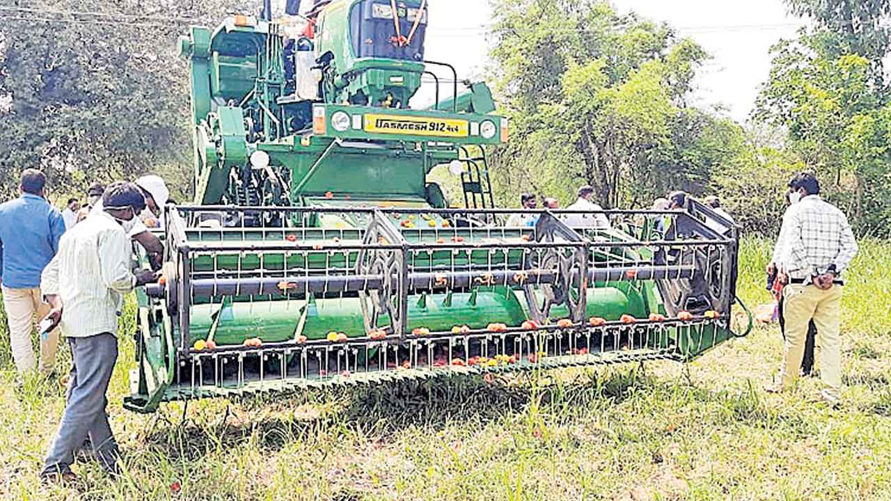 ప్రతిభ చూపుతూ ప్రగతి సాధిస్తూ..