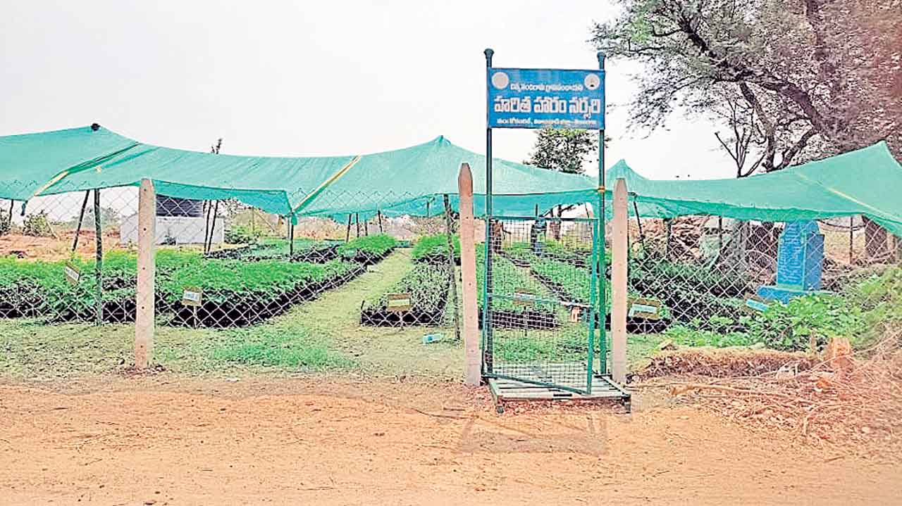 పచ్చదనంలో మేటి చిన్ననందిగామ