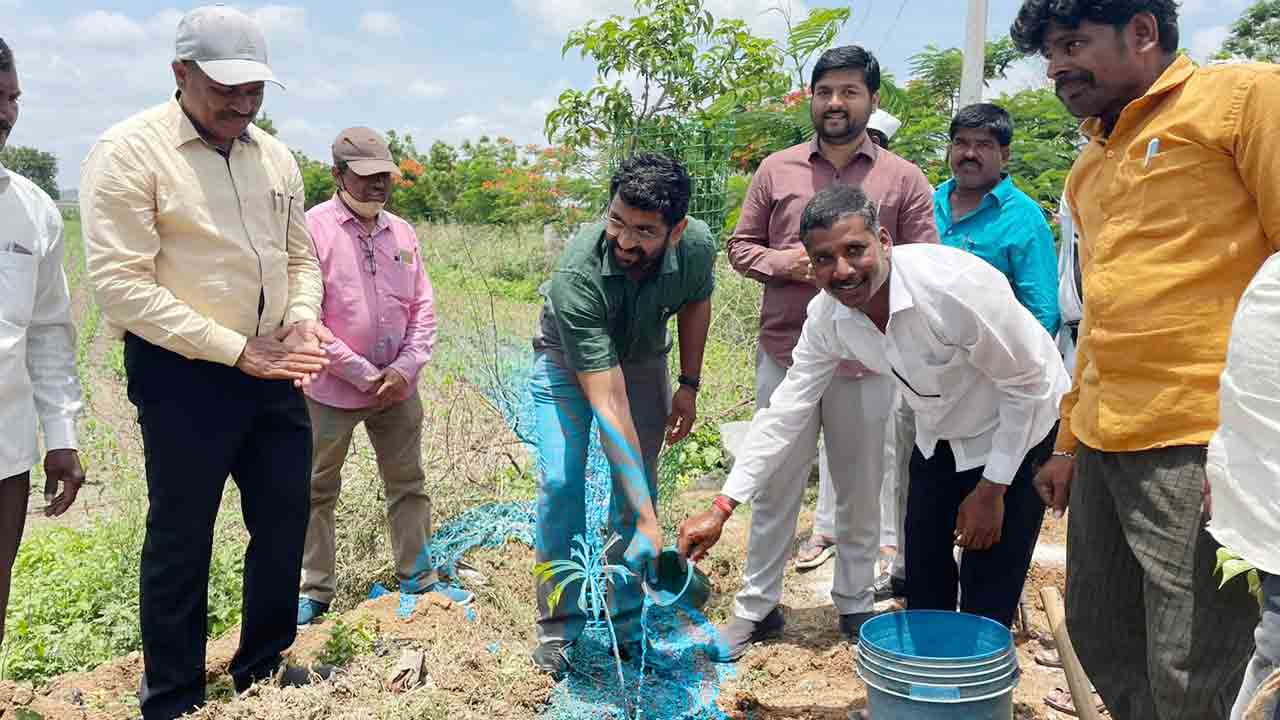 ప్రతి ఒక్కరూ మొక్కలను నాటాలి