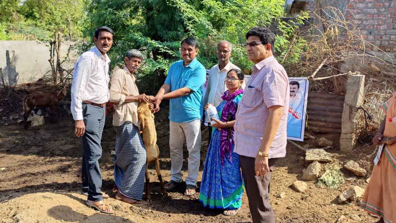 పెంపకందారులకు అండగా నిలవాలి