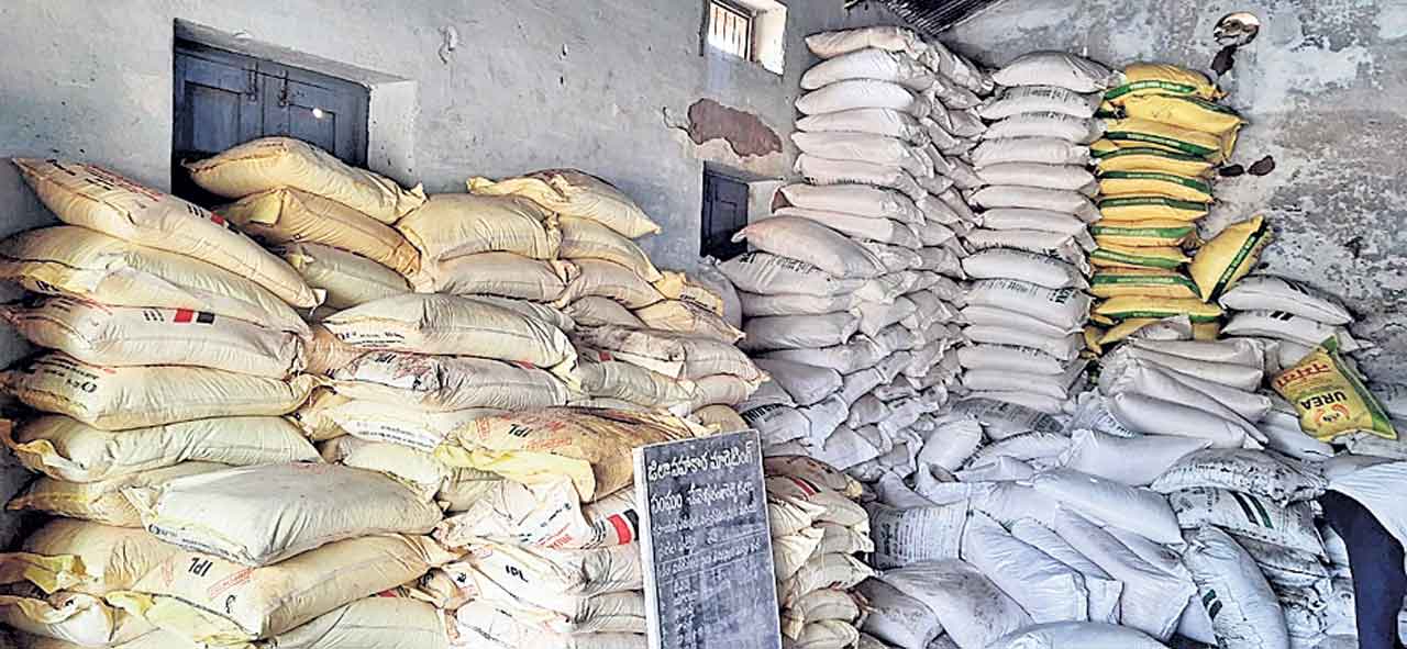 నాణ్యమైన విత్తలనే ఎంచుకోవాలి