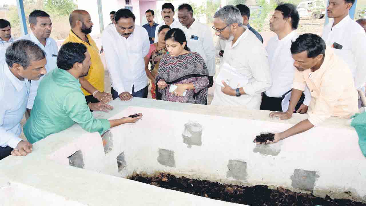 పల్లె వికాసం