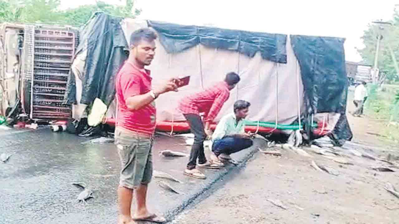 అదుపుతప్పి చేపల లారీ బోల్తా