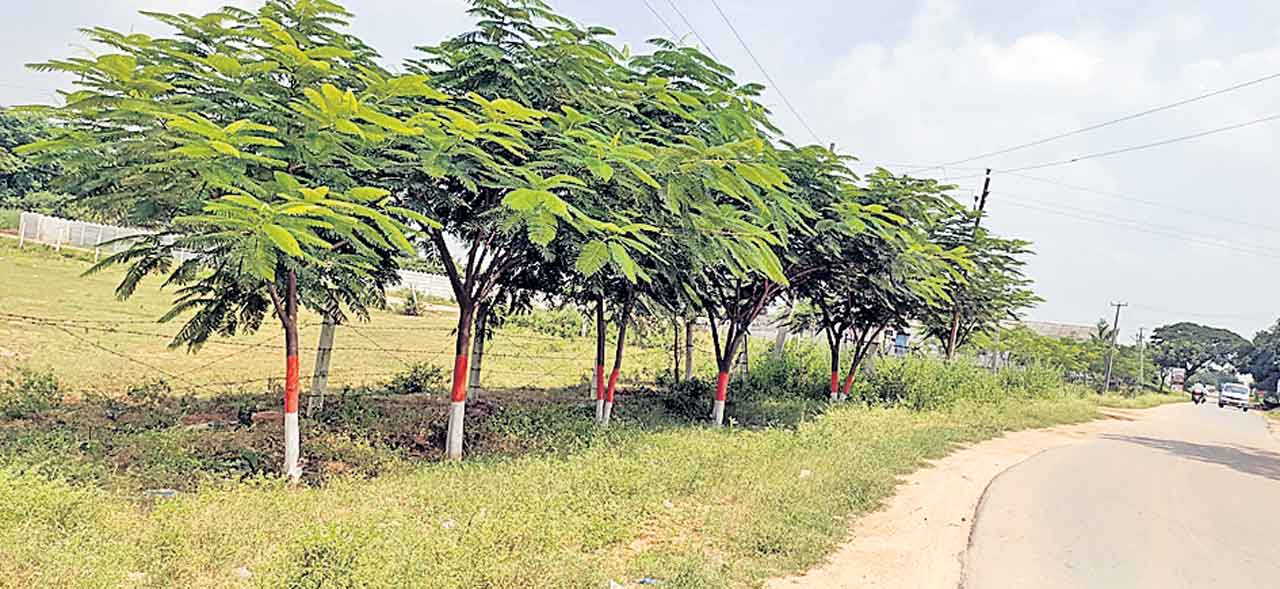 పచ్చదనాల పల్లెలు