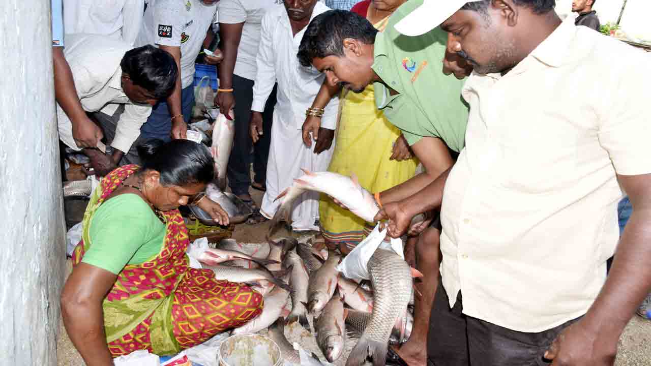ఘనంగా మృగశిరకార్తె