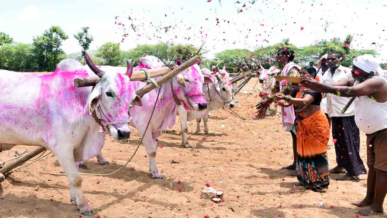 ఘనంగా ఏరొంక పున్నమి