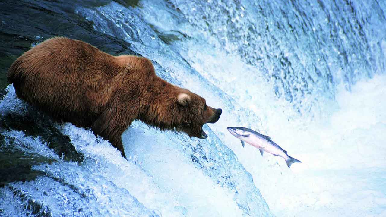 ఫెడ్‌ ప్రకంపనలు