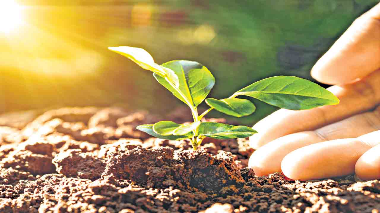 వనమంత మనసులు