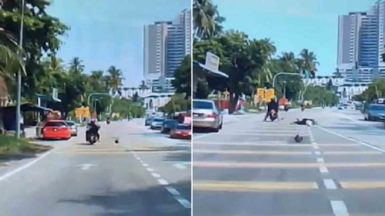 Watch: స్కూటర్‌పై వెళ్తున్న మహిళ… నేరుగా తలపై పడిన కొబ్బరికాయ