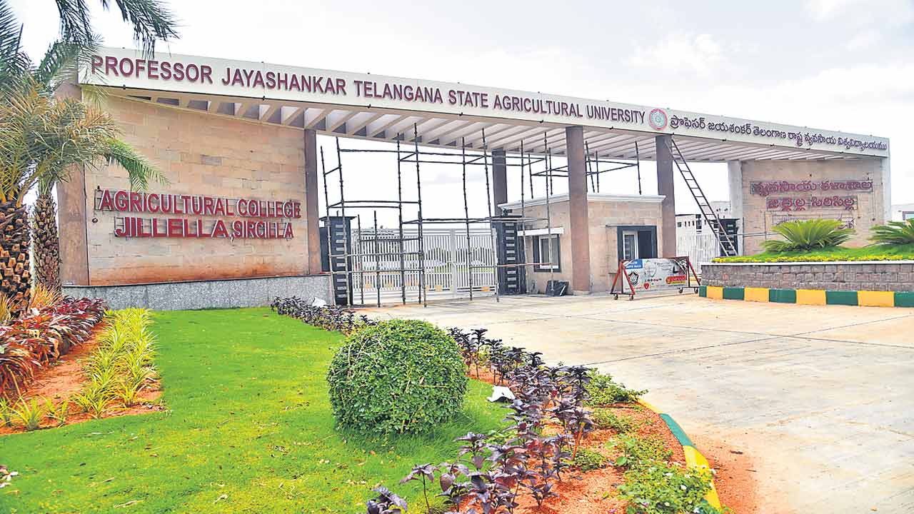 సిరిసిల్ల వ్యవసాయ కళాశాల రెడీ